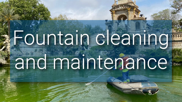 Fountain cleaning and maintenance